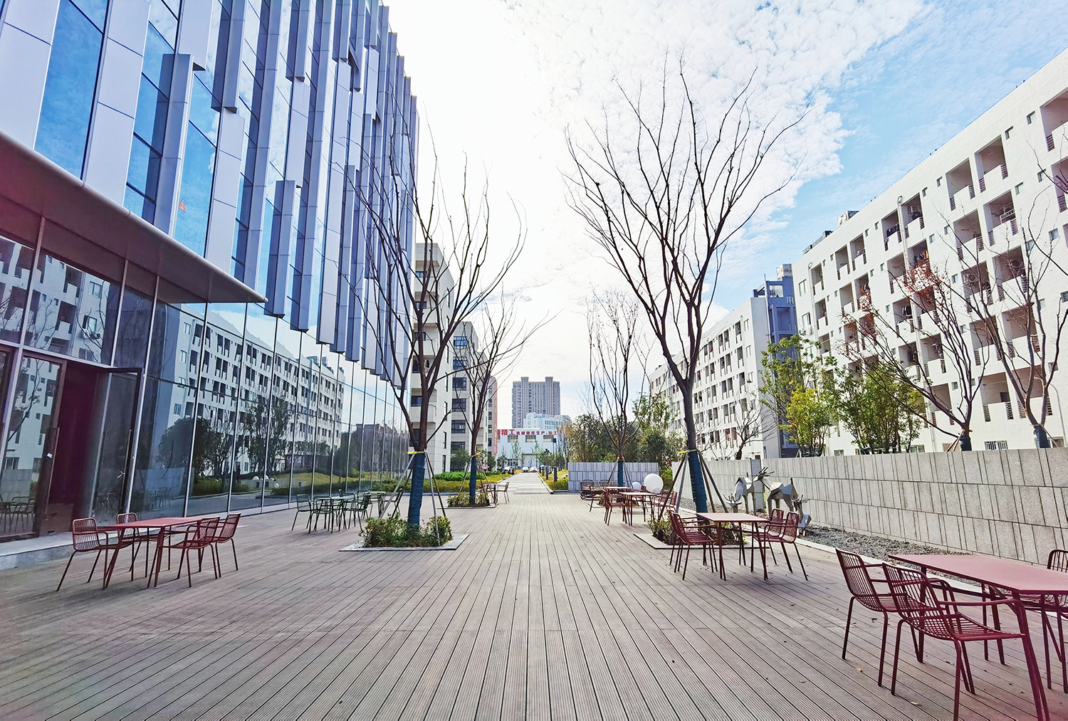 retouch_2021122213355904.jpg