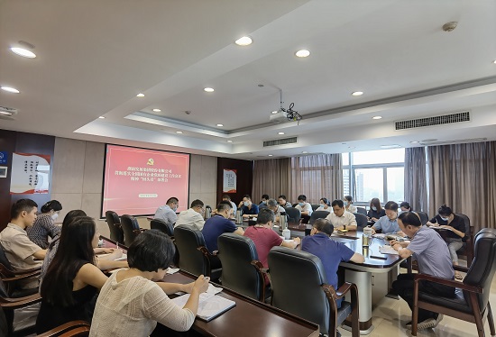 公司召開貫徹落實全國國有企業(yè)黨的建設工作會議精神“回頭看”工作部署會